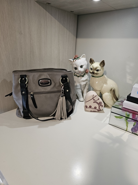 Rosetti Handbags - Light Gray/Taupe Tote Bag with Tassel - Women Bags